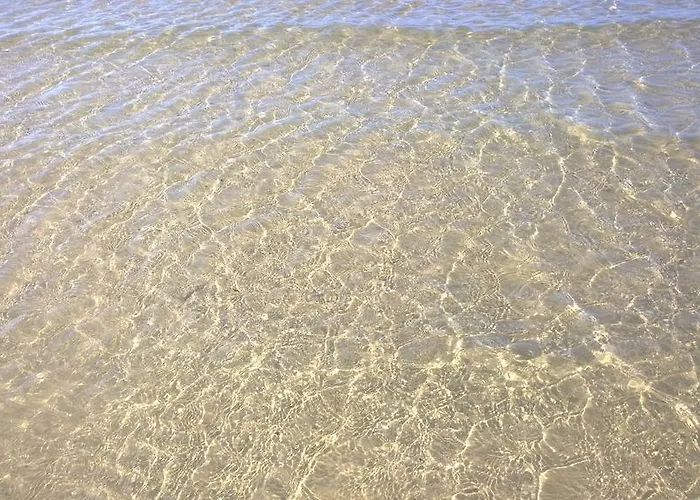 酒店 卡纳斯塔酒店 里米尼