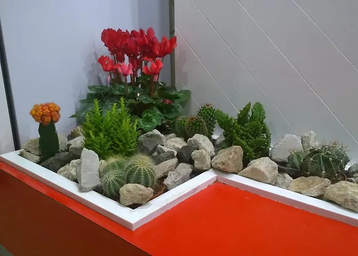 卡纳斯塔酒店 3* 里米尼