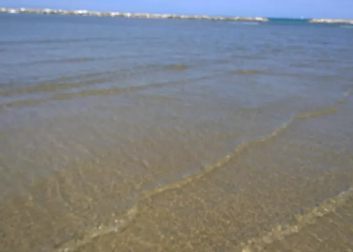 酒店 卡纳斯塔酒店 里米尼