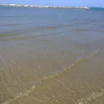 Hotel Canasta Rimini