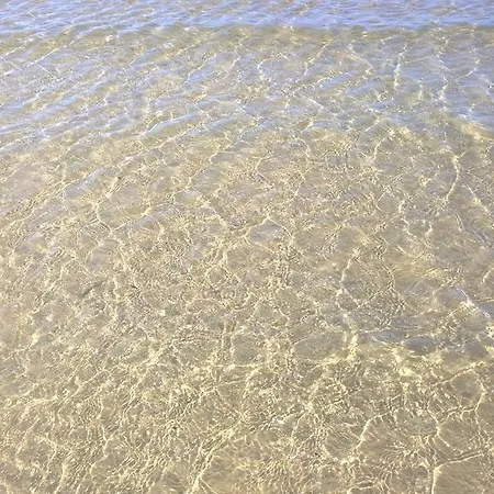 Hotel Canasta Rimini